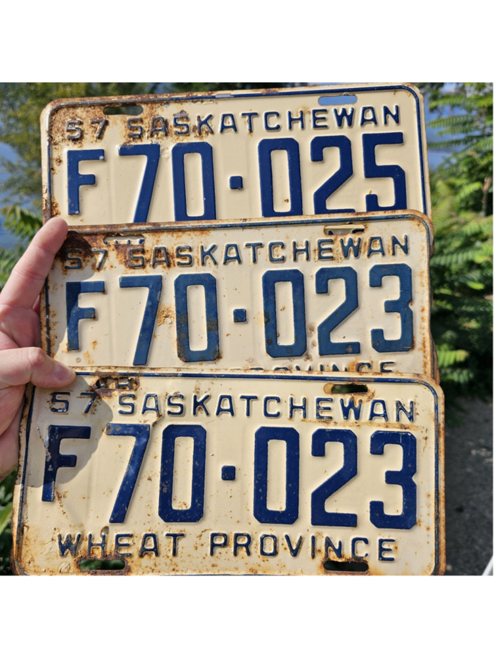 1957 Saskatchewan Wheat Province License Plates Lot of 3 F70-023 F70-025
